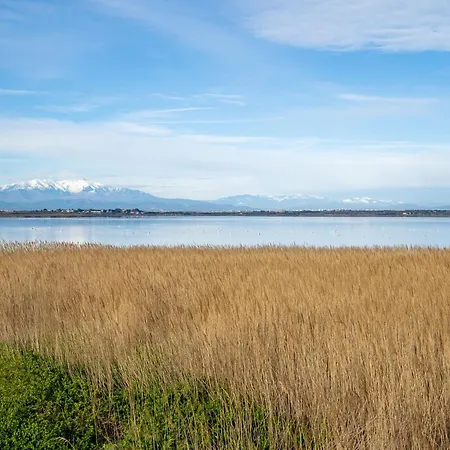 Le Beach-14 By Interhome Canet-en-Roussillon